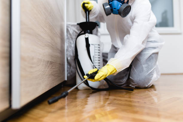 Best Pest Control Near Me  in Pitcairn, PA