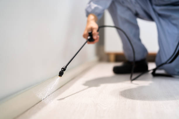 Best Flea Control Services  in Pitcairn, PA