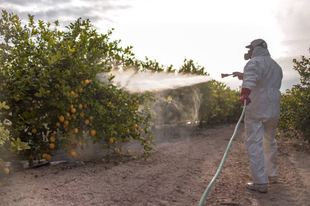 Best Residential Pest Control  in Pitcairn, PA