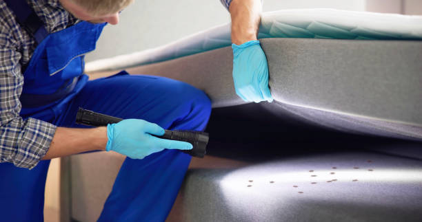 Best Bed Bug Extermination  in Pitcairn, PA