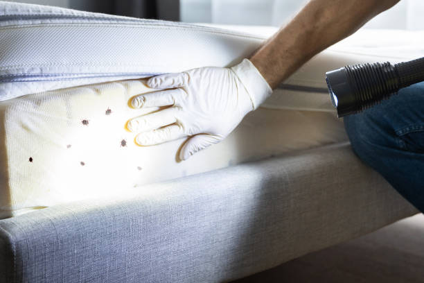 Professional Pest Control in Pitcairn, PA
