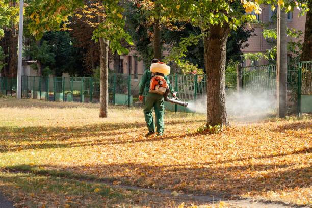Best Flea Control Services  in Pitcairn, PA