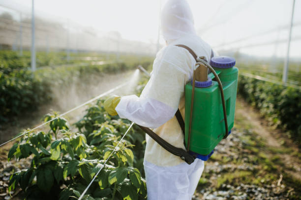 Best Commercial Pest Control Services  in Pitcairn, PA